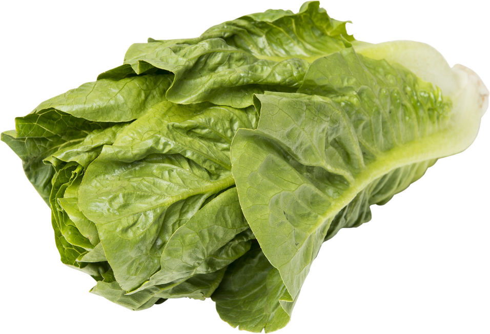 Салат Суперфуд Фарм Бэби Рэм мини Романо 200г