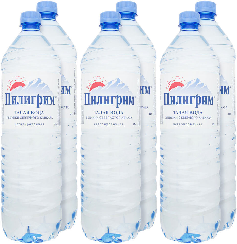 Магазин пилигрим вода. Питьевая вода Пилигрим негазированная 1.5. Пилигрим 1.5 л. Упаковка воды Пилигрим 1,5л. Пилигрим 1.5 литра негазированная.