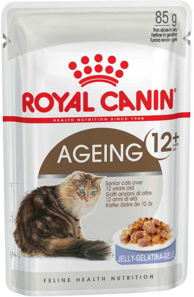 Отзывы о Корме для кошек Royal Canin Ageing 12+ Мясо в желе 85г Отзывы о Корме для кошек Royal Canin Ageing 12+ Мясо в желе 85г